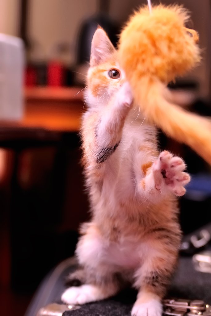 あしたのジョー