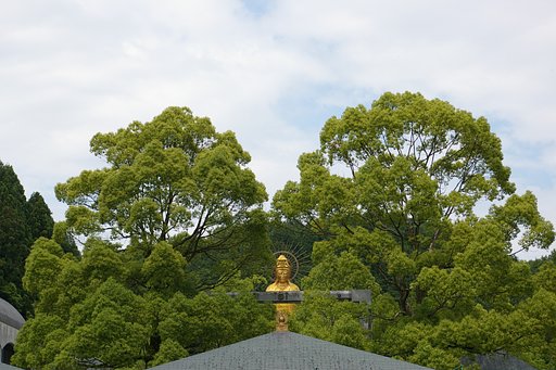 輝く観音さま