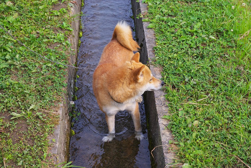 ななせの避暑方