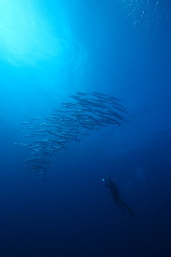 フィジー
