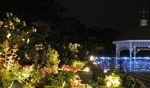 夜の薔薇園