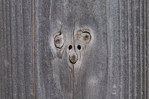 ぼくはくま