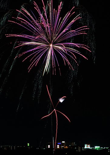 「花火大会」一輪ざし