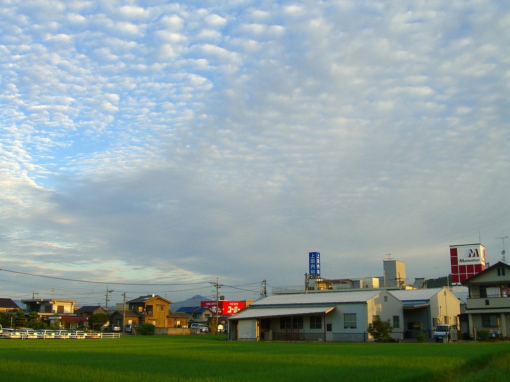 今朝の空