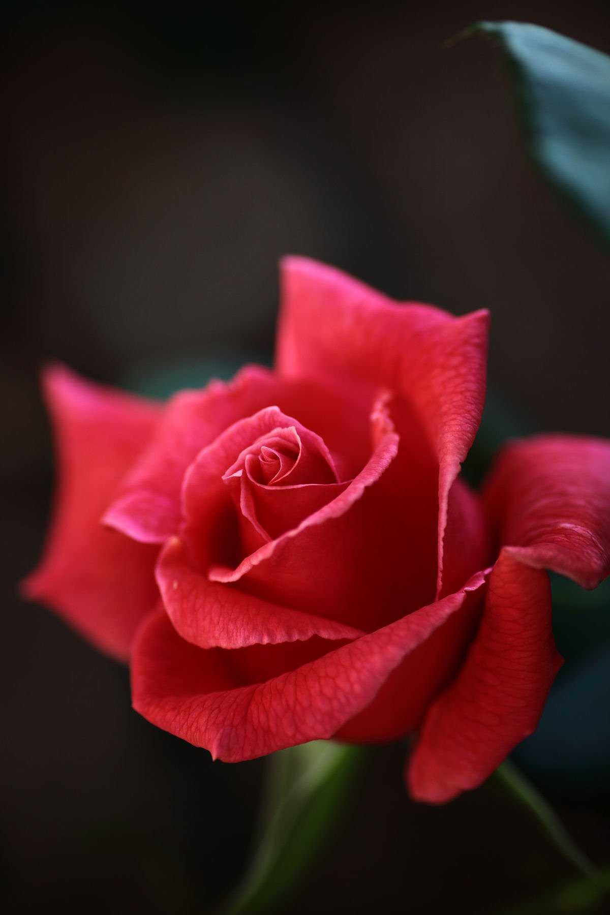 For you