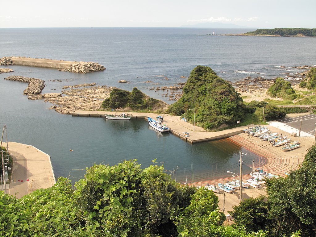 遠く大島