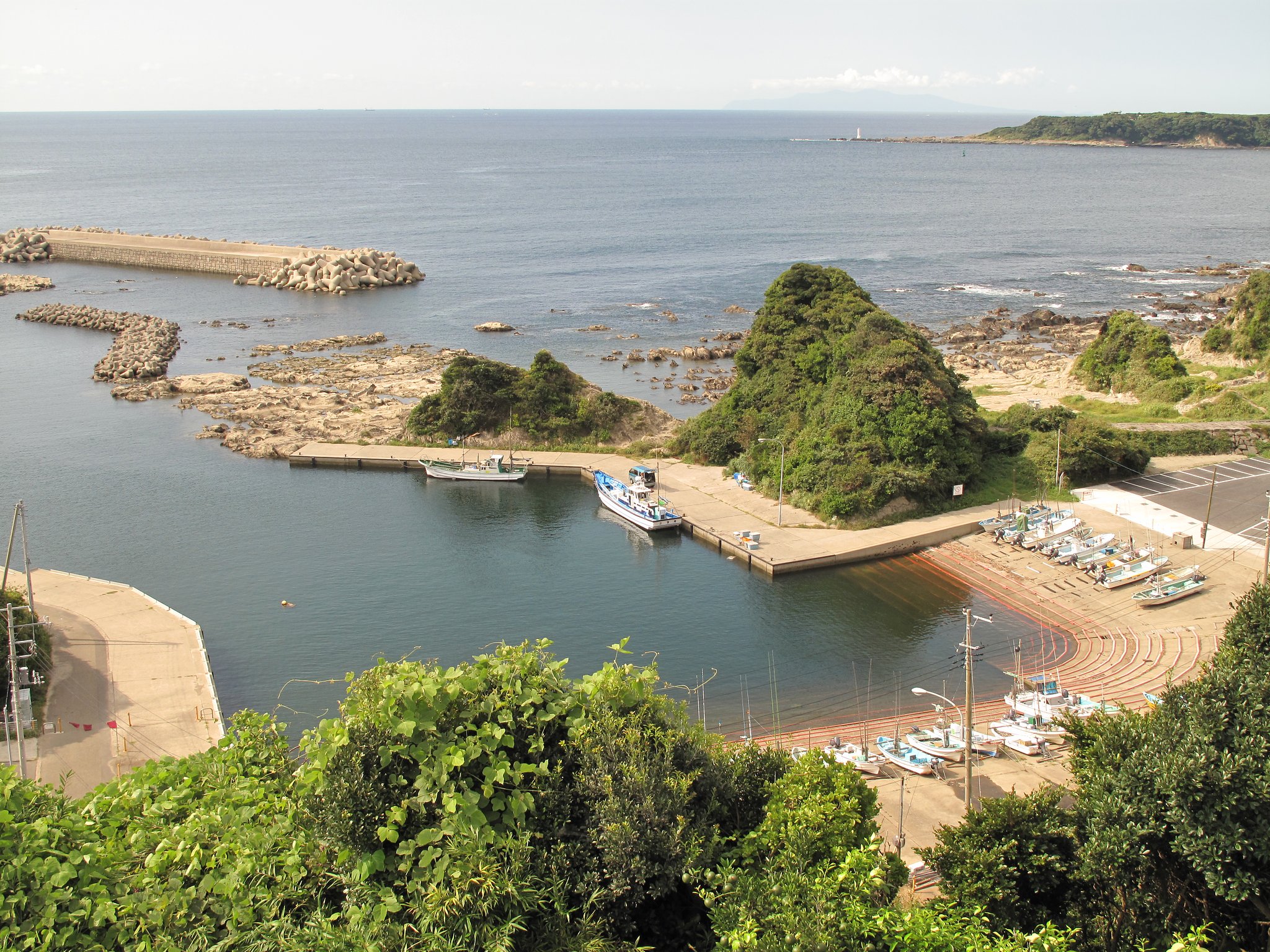 遠く大島