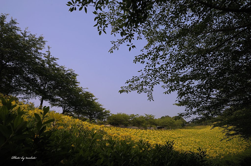 丘を見渡して