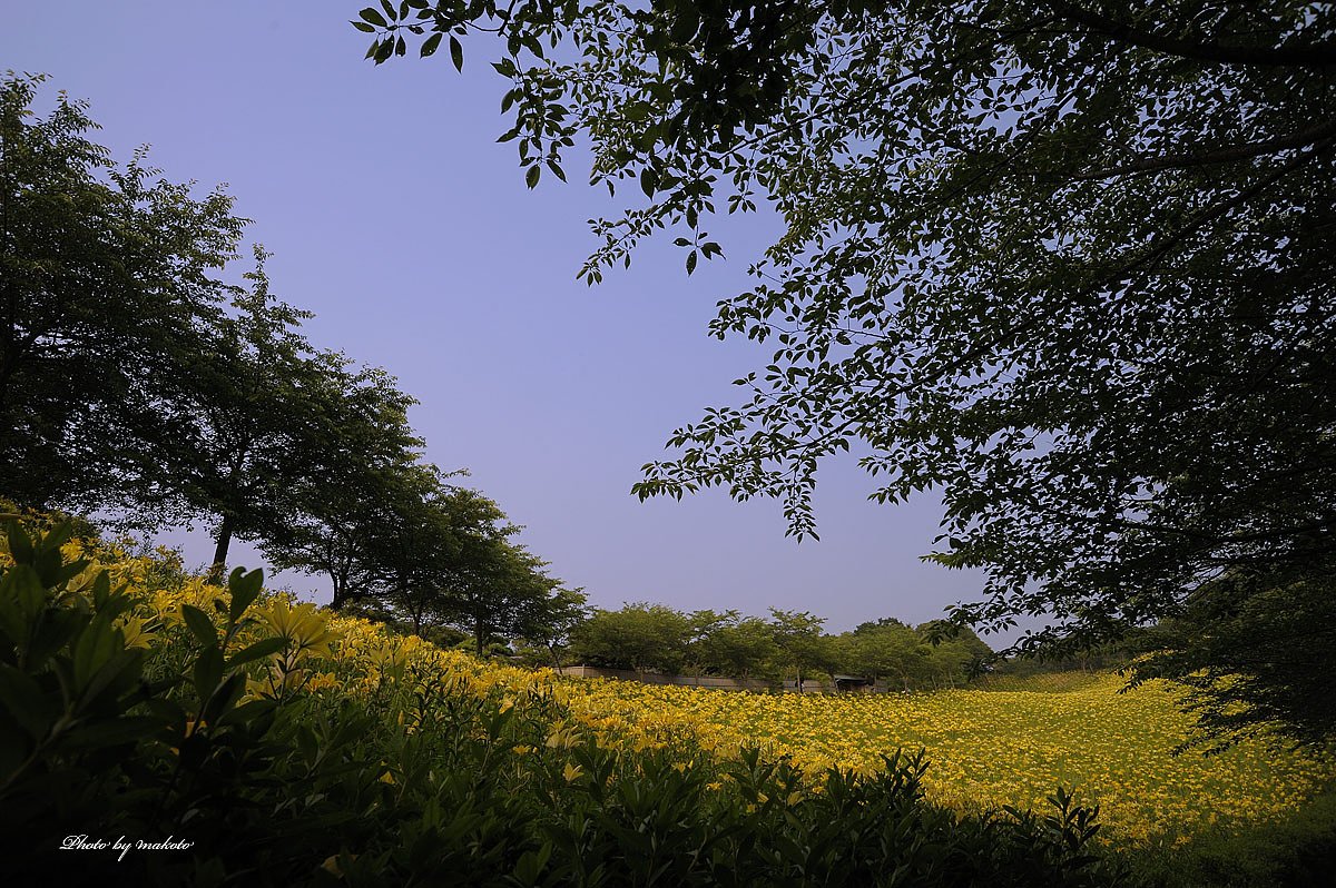 丘を見渡して