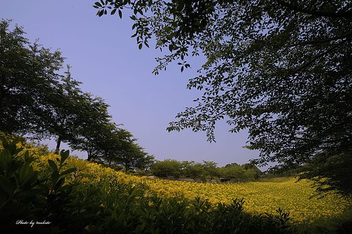 丘を見渡して