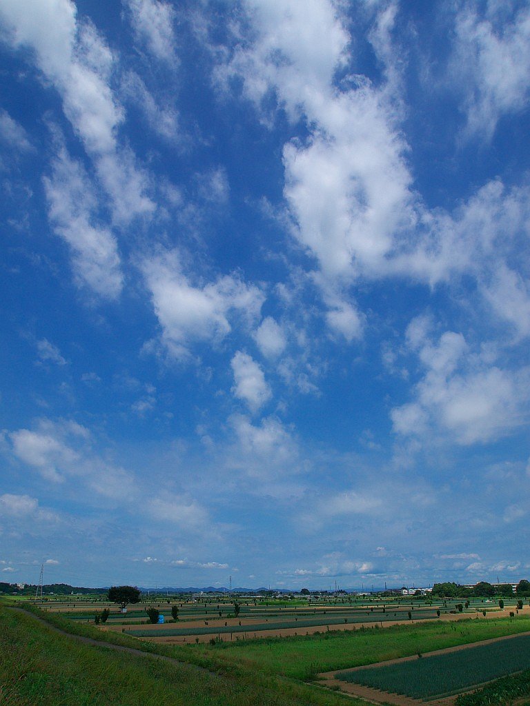 初夏の風景・・^^;