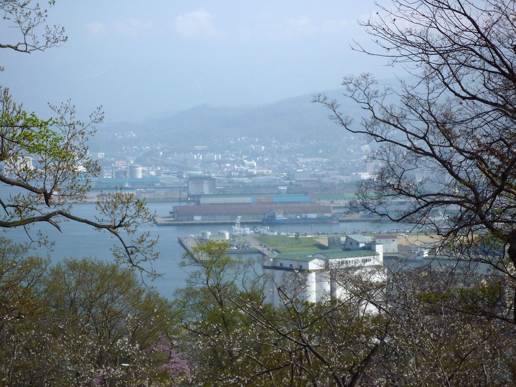 海の見える・・・
