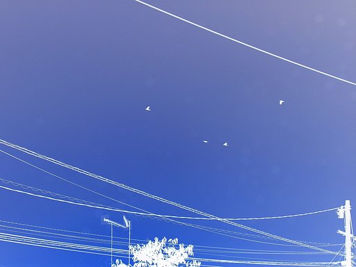 ネガティブ