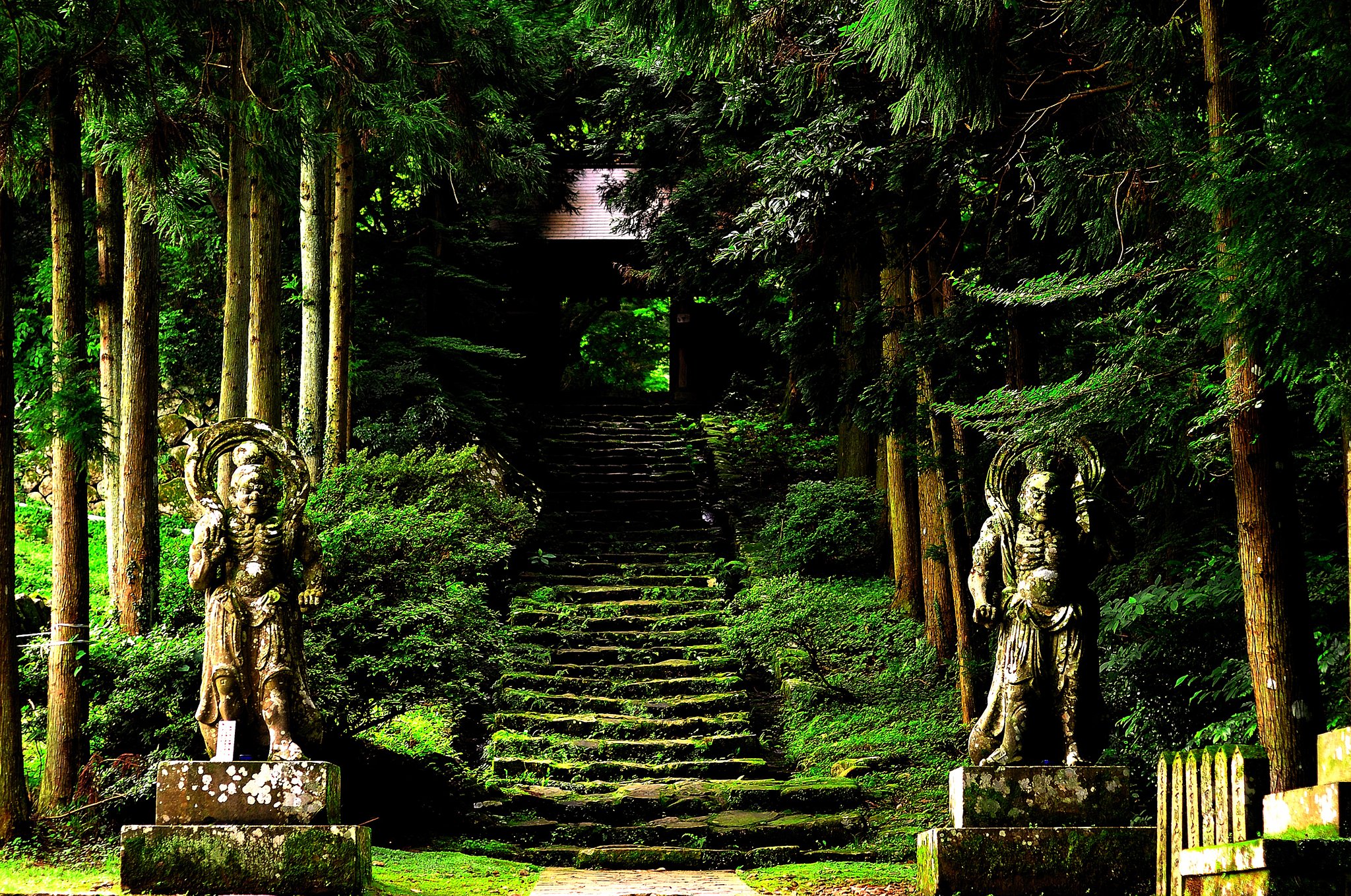 緑の寺