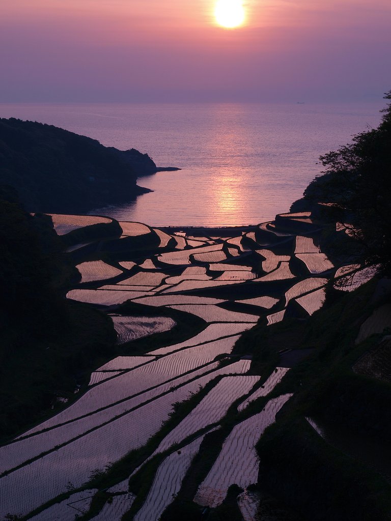 棚田と夕日