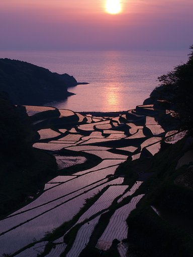 棚田と夕日