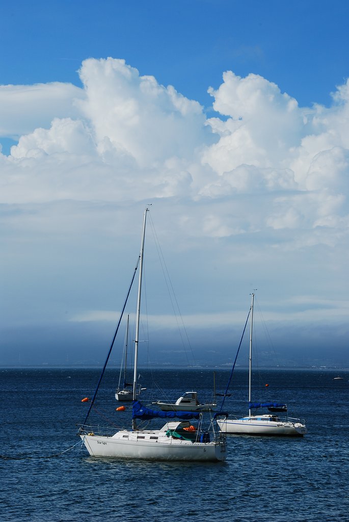 夏の海