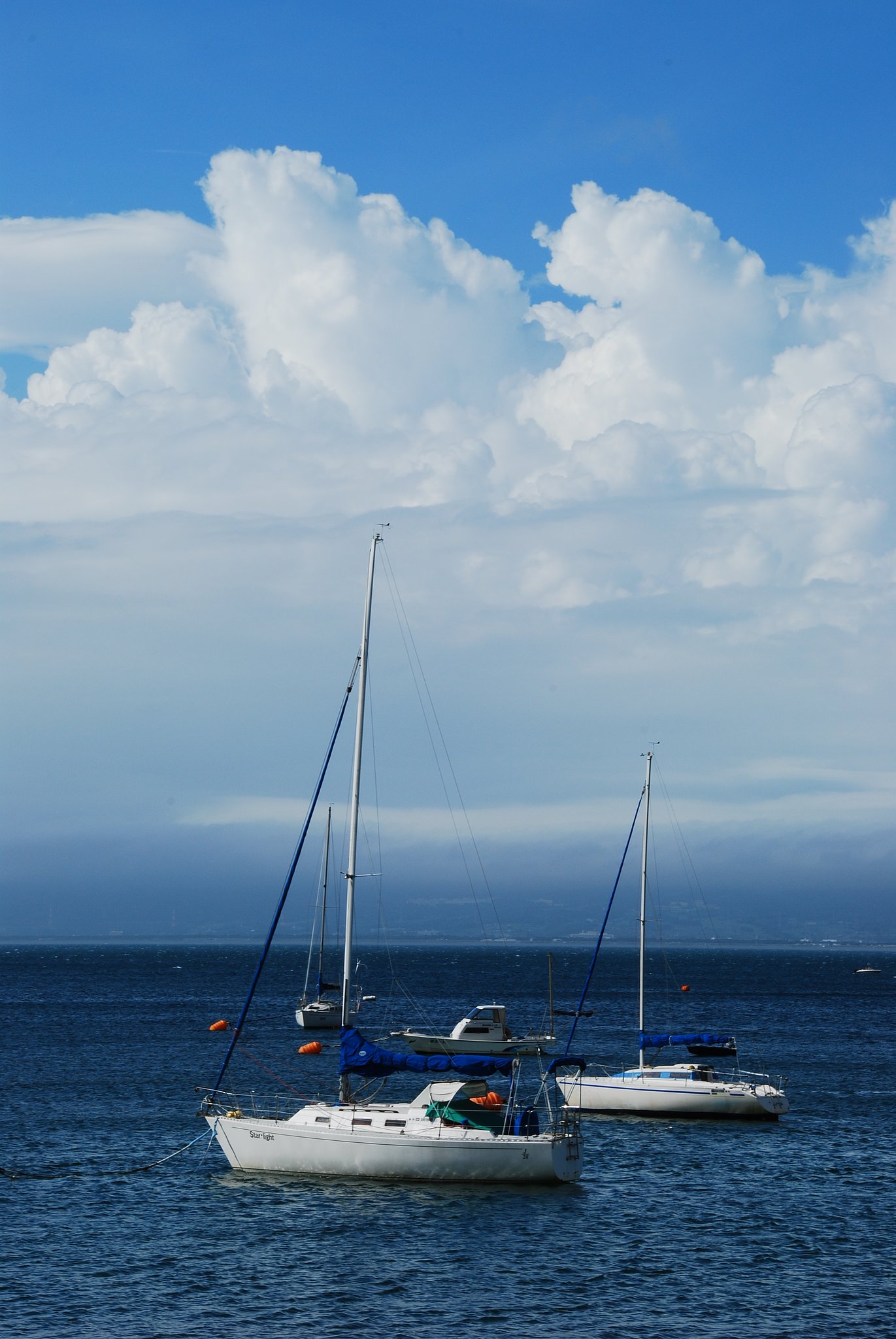 夏の海
