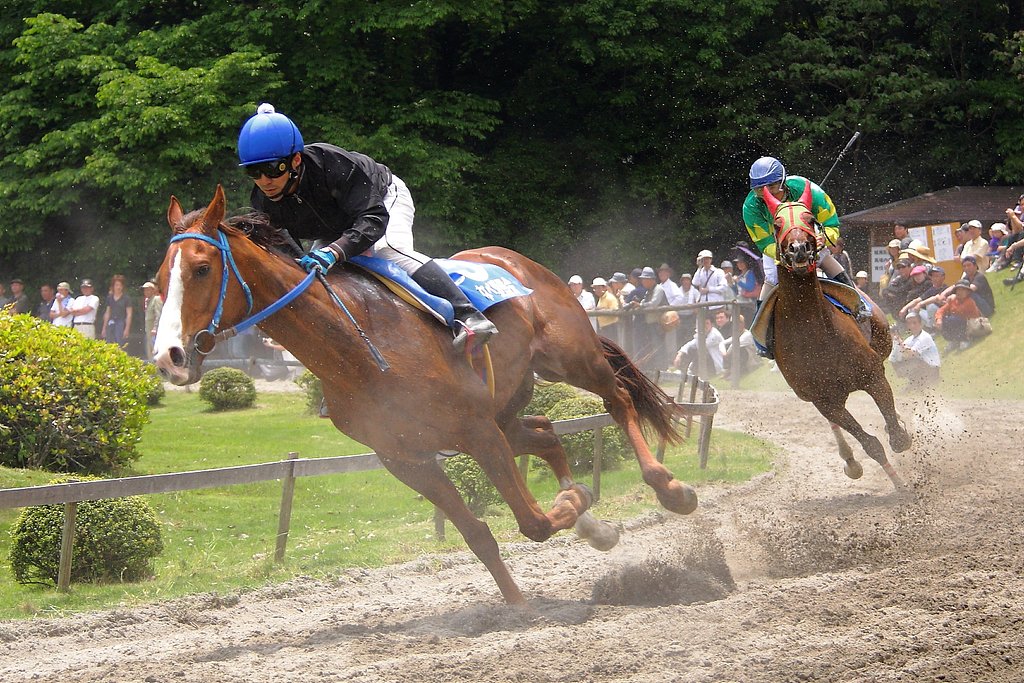 いなべ草競馬