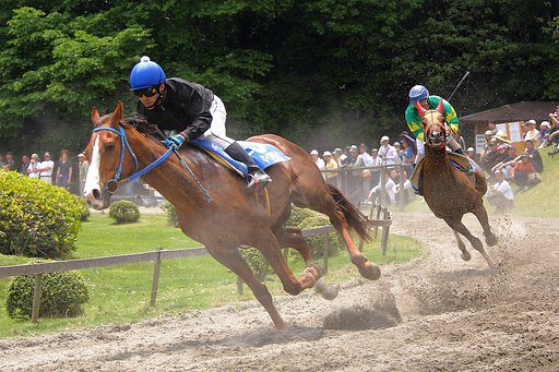 いなべ草競馬