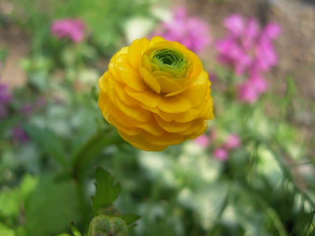 浮いてしまった〜