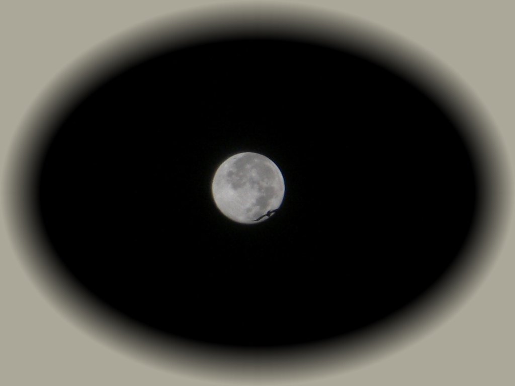 窓の月