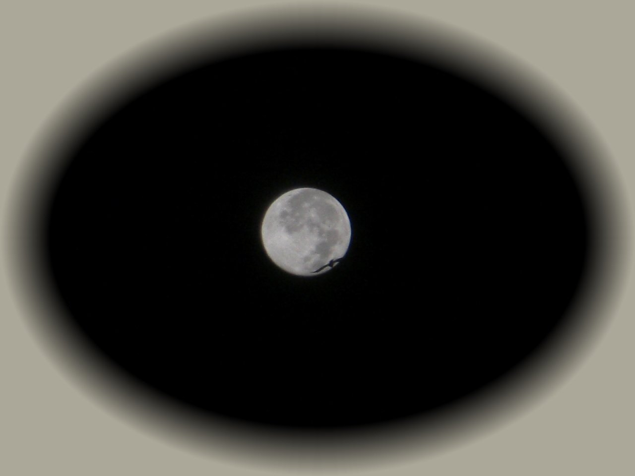 窓の月