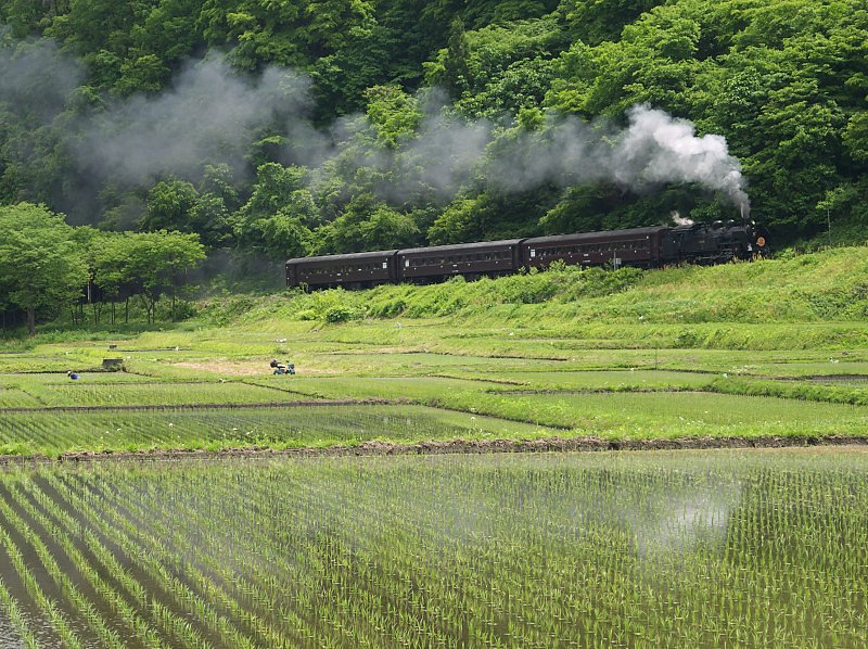 早苗を横目に