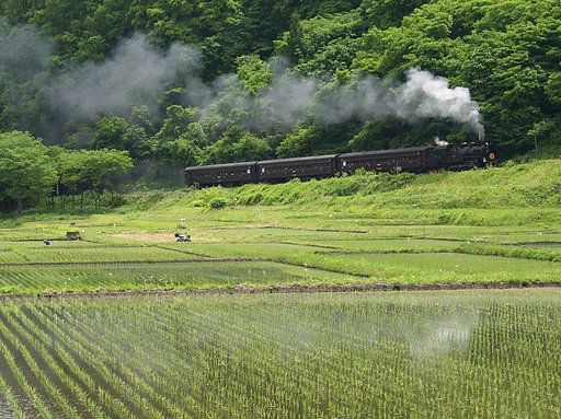 早苗を横目に