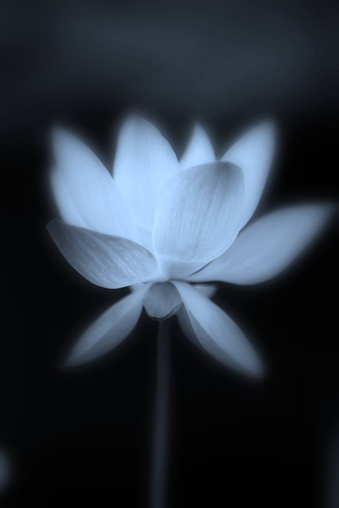 静寂