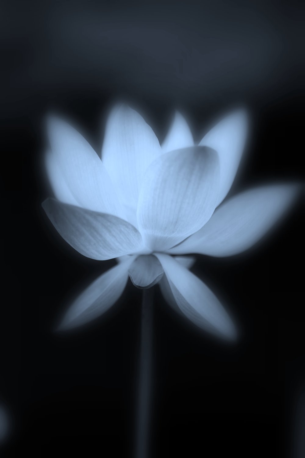 静寂