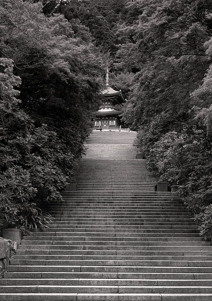 お寺の風景