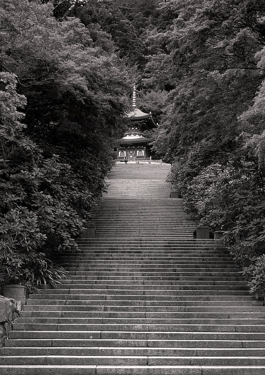 お寺の風景