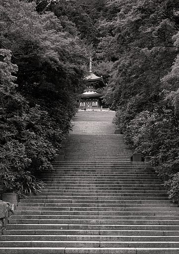 お寺の風景