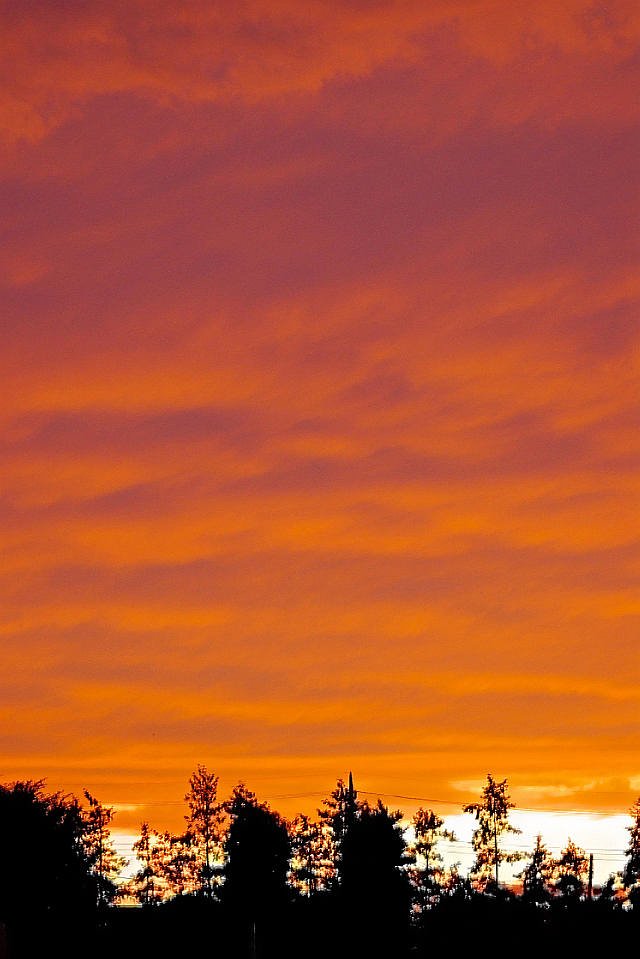 空一杯の雲