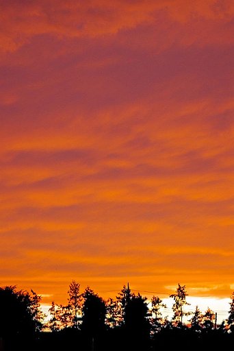 空一杯の雲