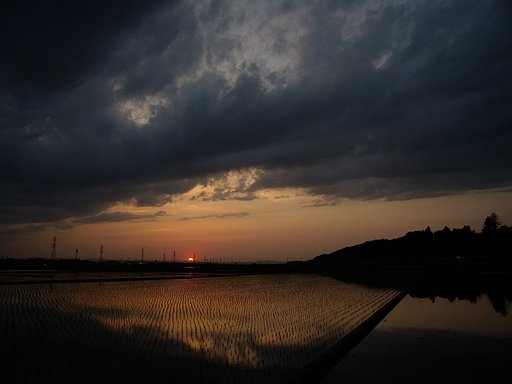 雷雨の後の夕日・・・^^;