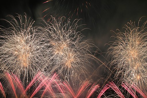 [花火大会]PL花火芸術2008