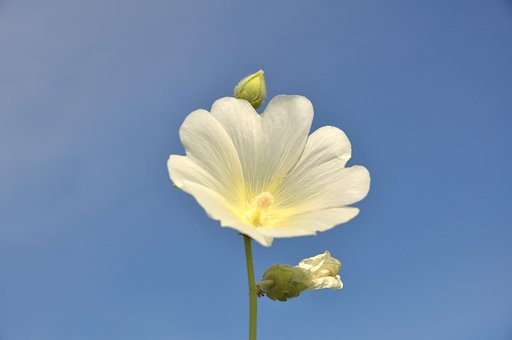 わたしを見て・・・