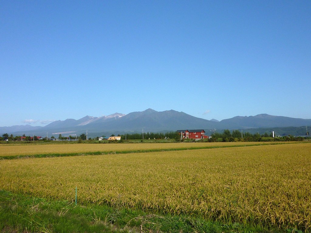 景色