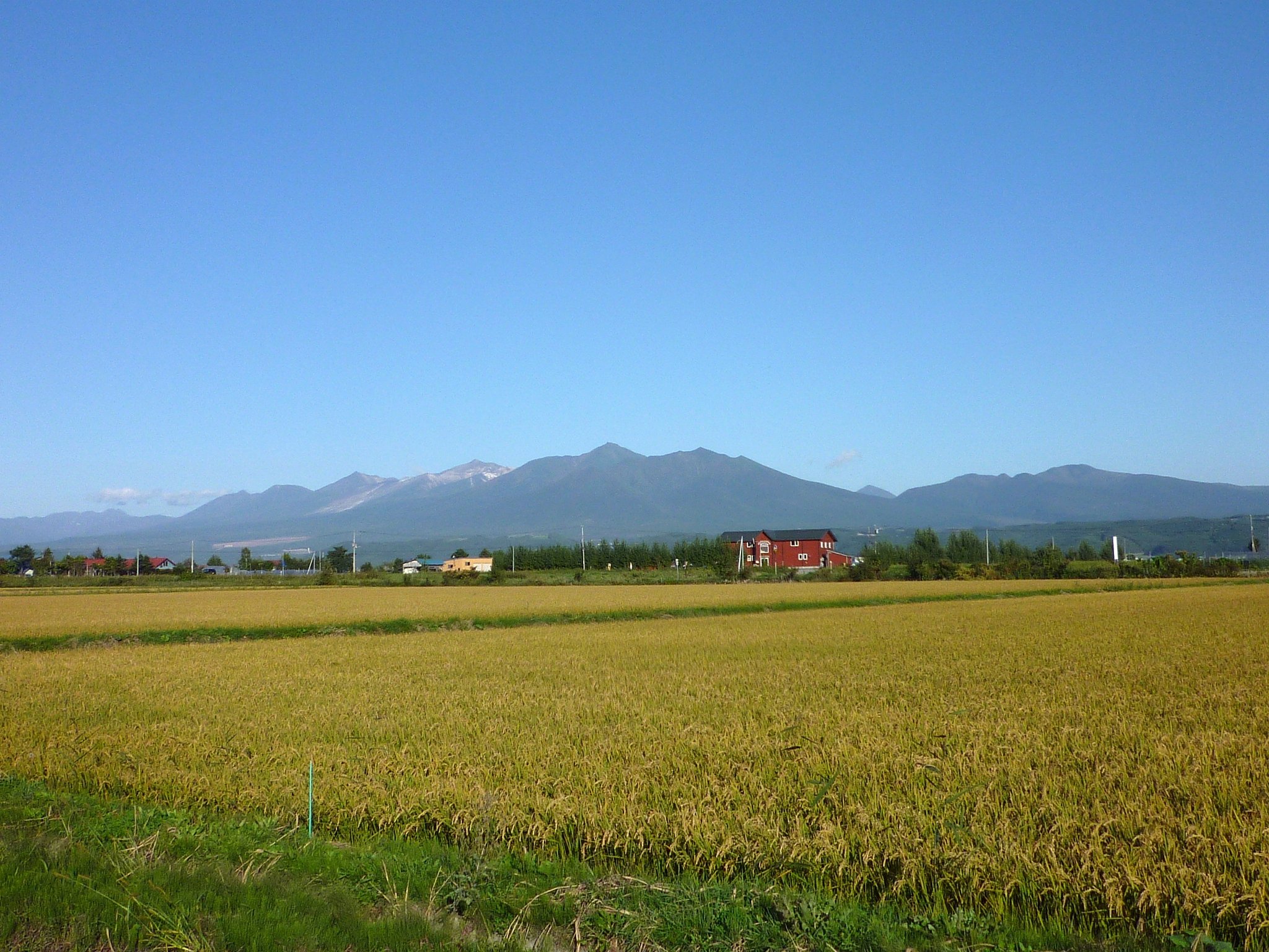 景色