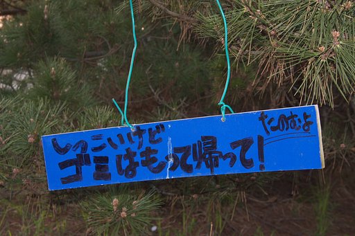 この夏は