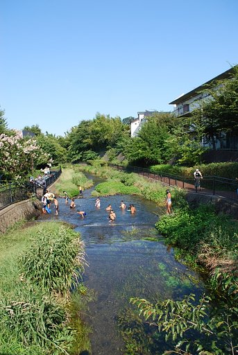 川遊びの風景