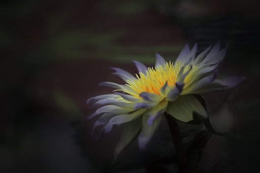 時