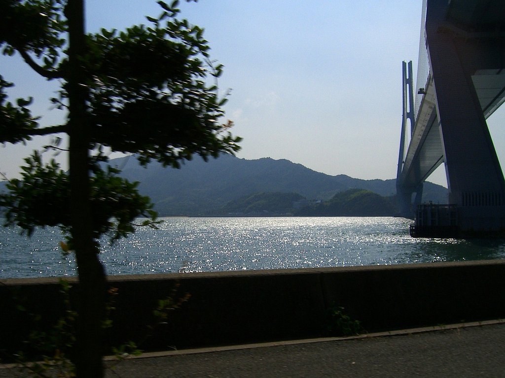 Drive-25