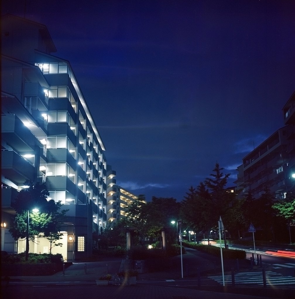 「彩」白暮