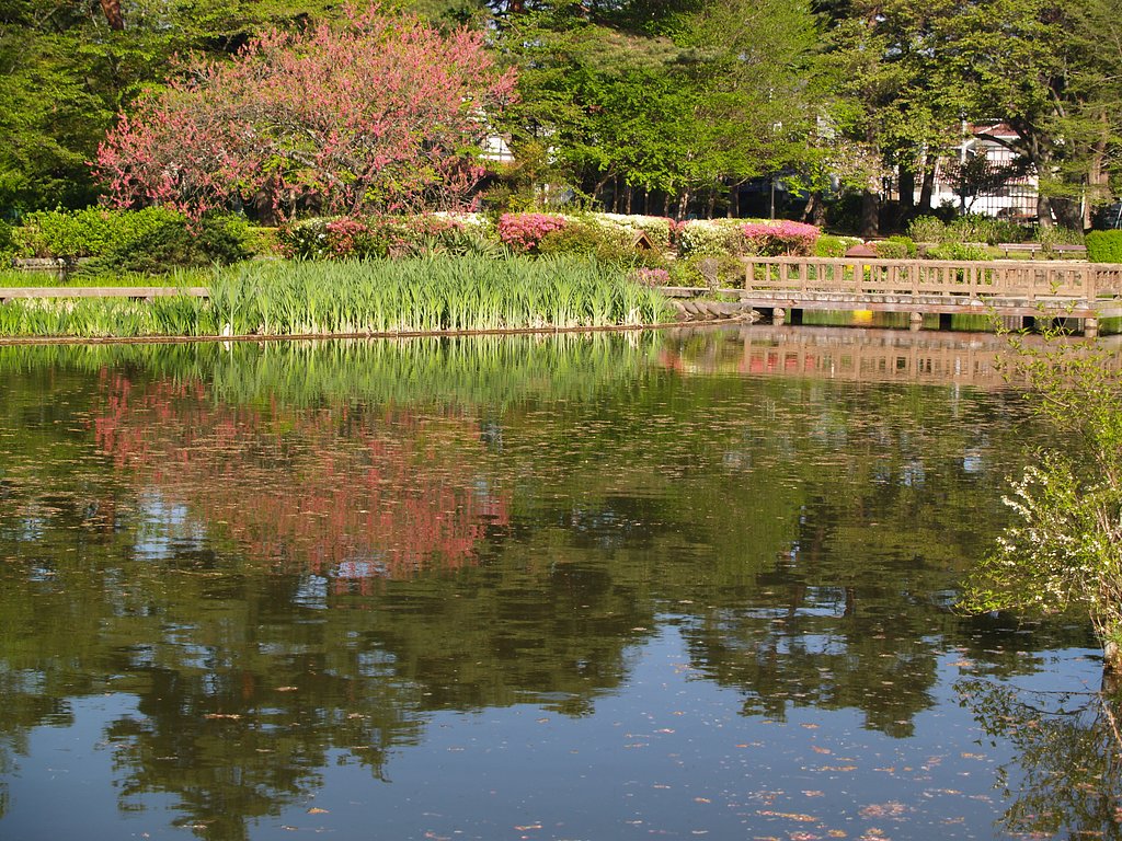 水面
