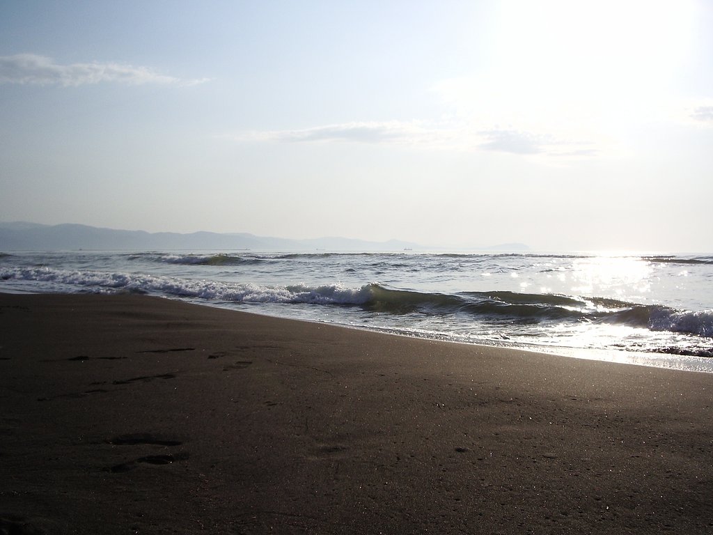 春の海