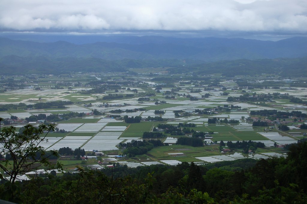 田園風景