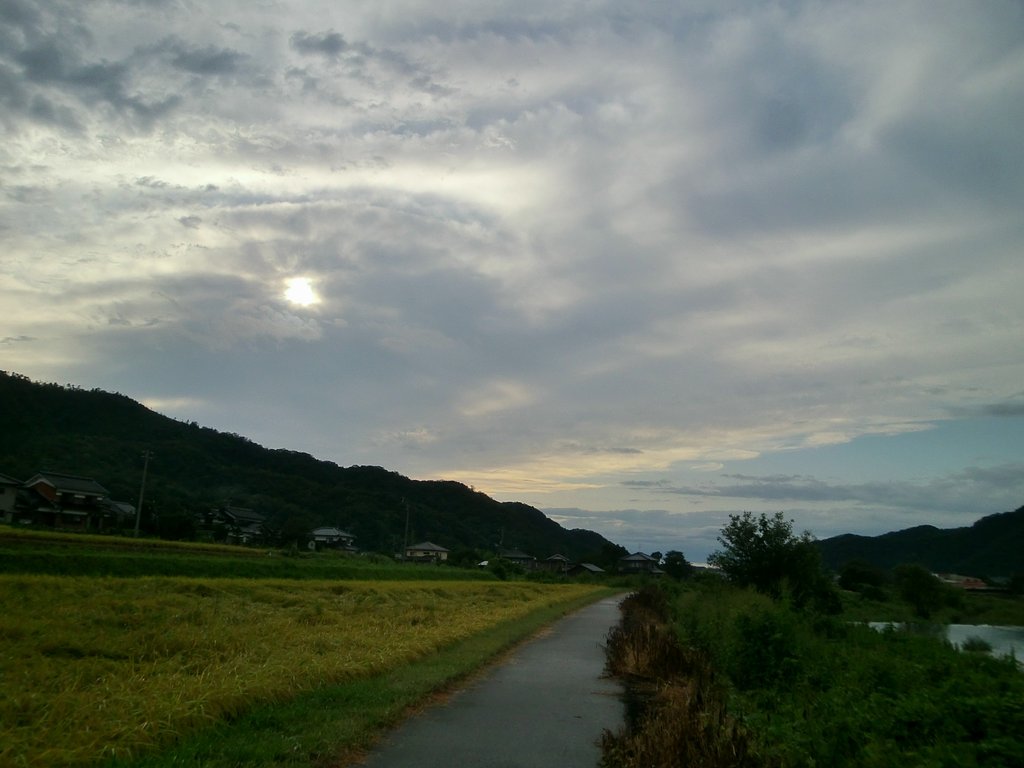夕方近くはれてきました。